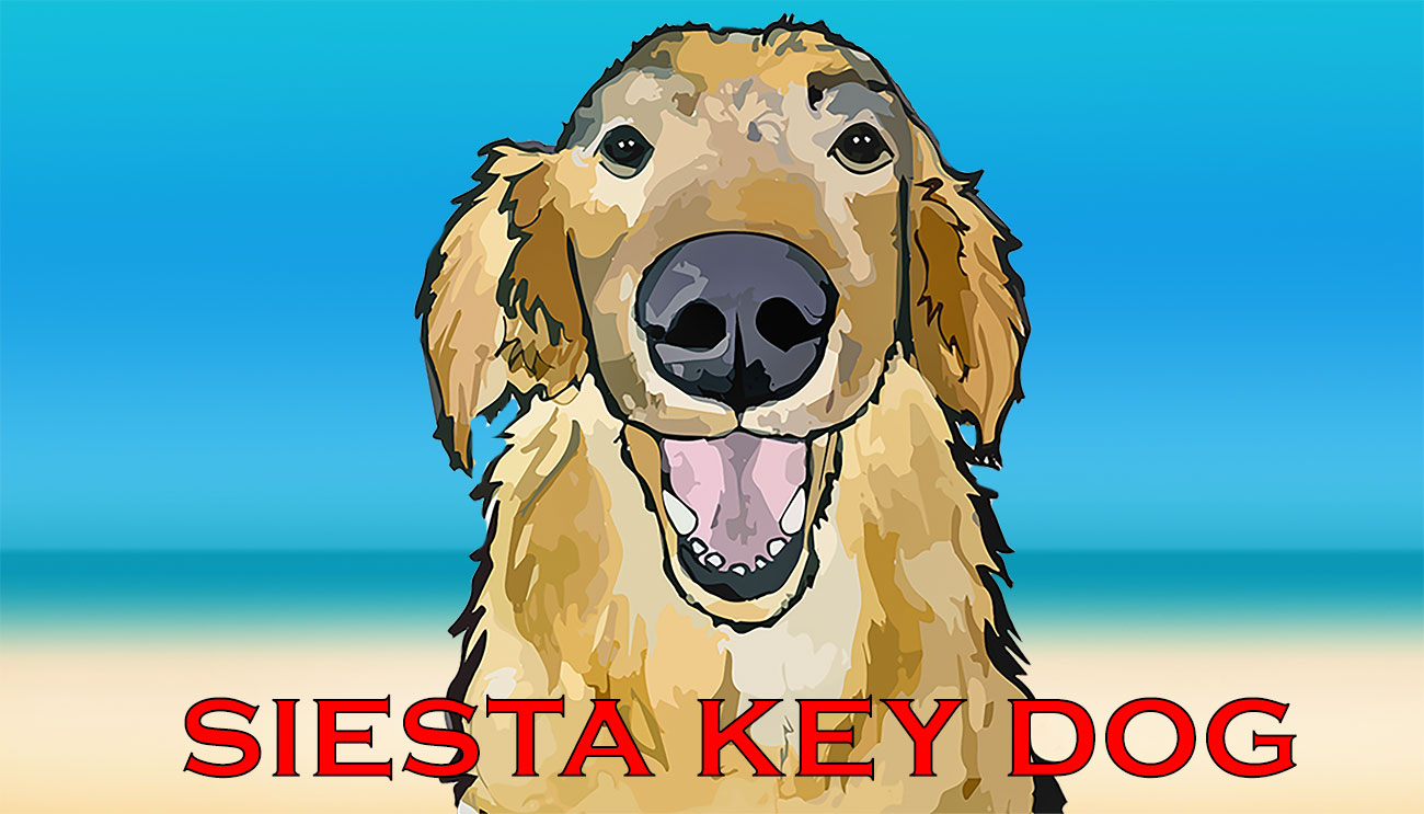 Siesta Key Dog - Pet Sitters and Dog Walkers in Sarasota, Florida